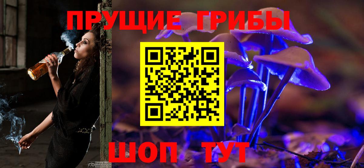 Галлюциногенные грибы GOLDEN TEACHER  Псилоцибиновые грибы Psilocybine cubensis  Вход с VPN  Кирово-Чепецк 