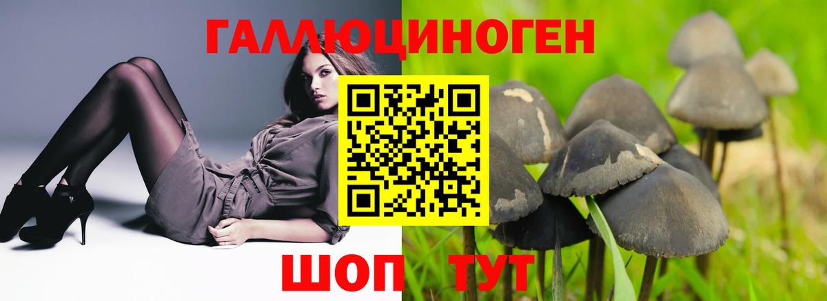 Псилоцибиновые грибы GOLDEN TEACHER Кирово-Чепецк